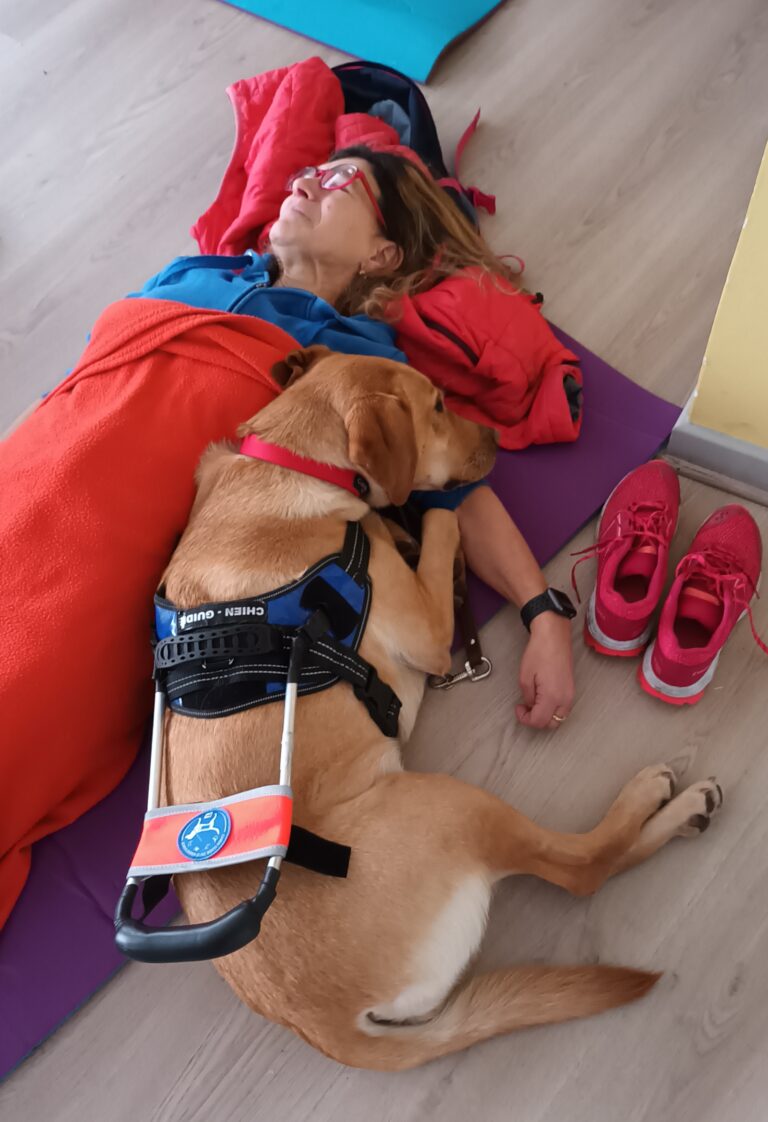 Yoga adapté publics fragiles (handicap visuel, physique...) Yoga adapté publics fragiles (handicap visuel, physique...)