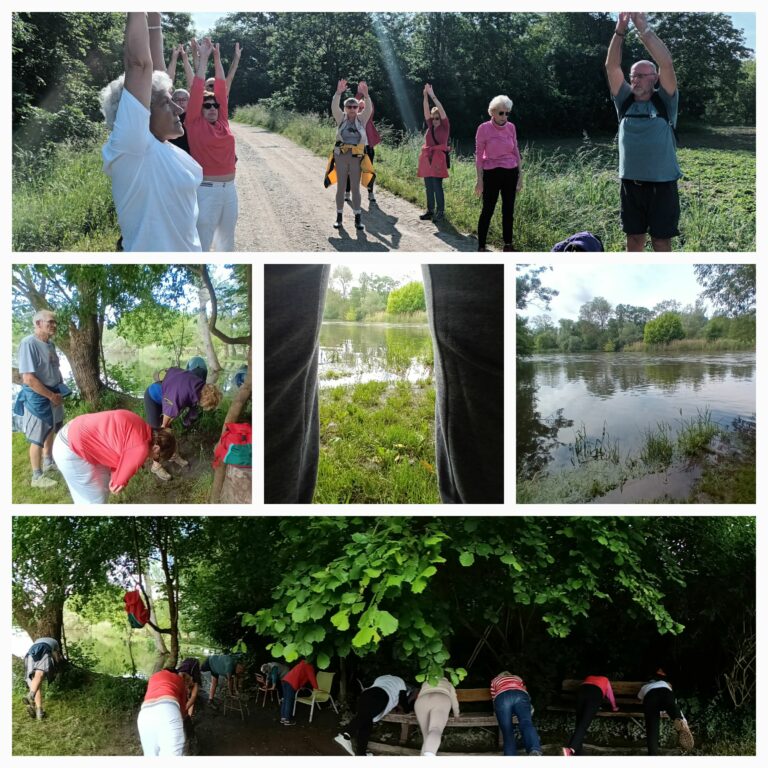 Parcours Yoga & marche méditative Parcours Yoga & marche méditative