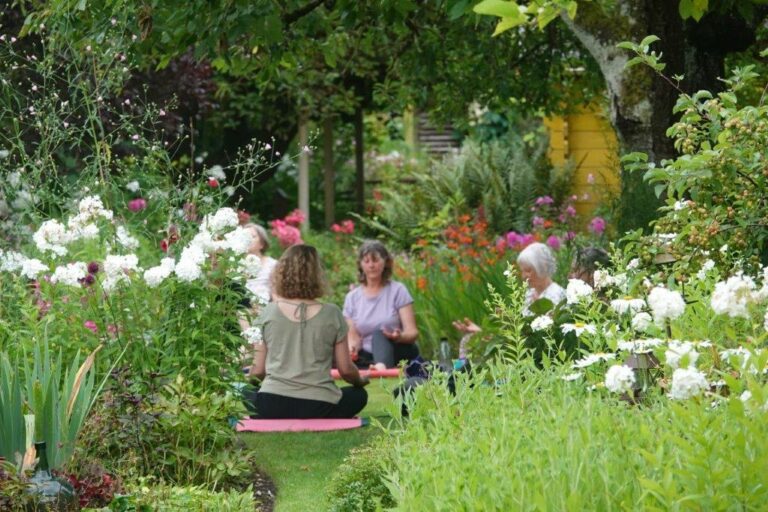 Yoga plein air (jardins, parcs, forêt, aquatique...) Yoga plein air (jardins, parcs, forêt, aquatique...)