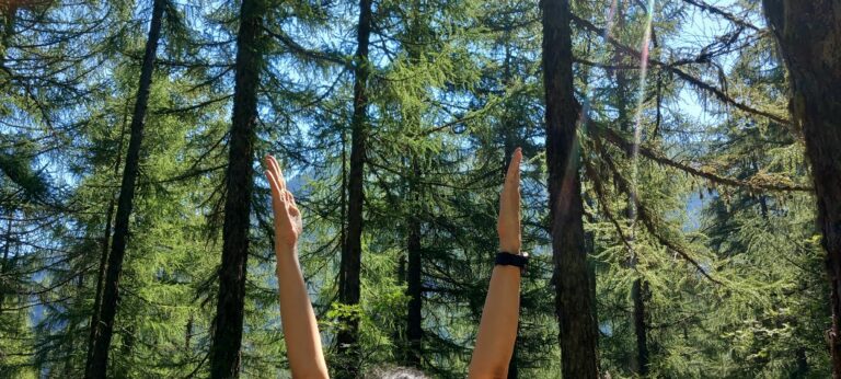 Chemin arbres Yoga Nathalie Robin 1 768x346