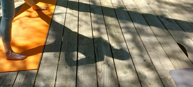 Chemin arbres Yoga Nathalie Robin 2 768x346