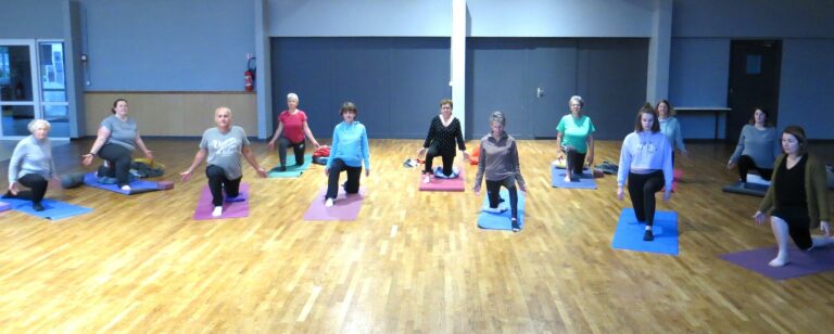 Fente face Copie 768x308