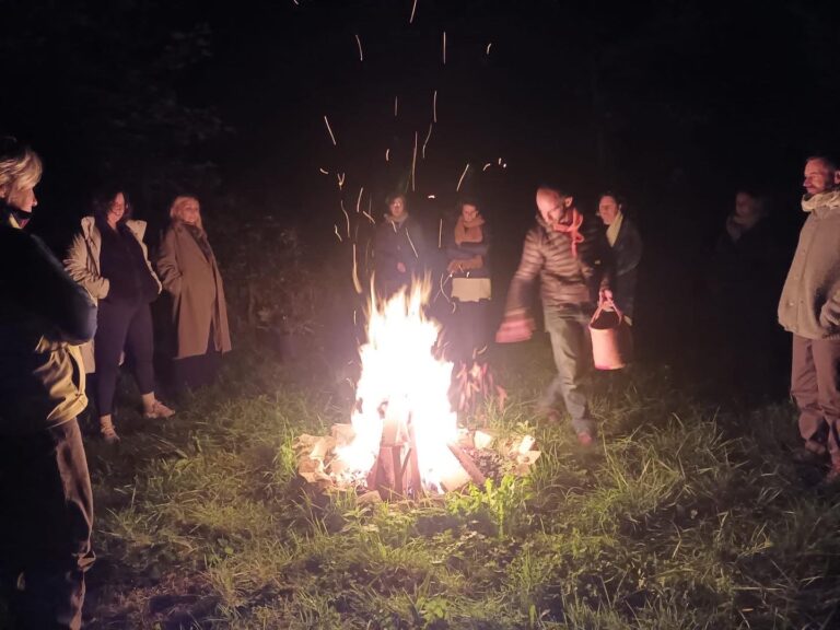 53CF2596 E5D6 41F9 A3A0 75C2E6806C52 768x576