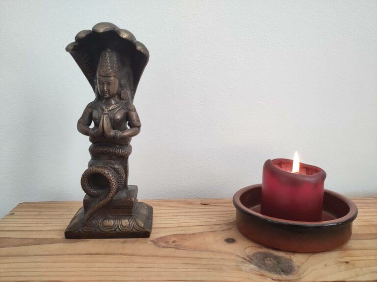 IMG 20230820 082616 768x576