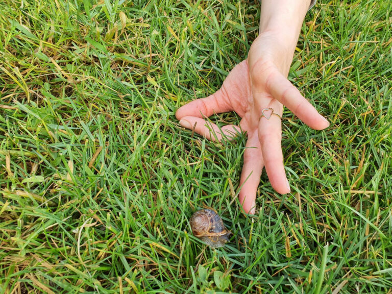 Jnana mudra Arquebuse 768x576