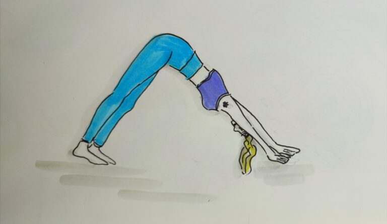 IMG 20241025 120454 768x445