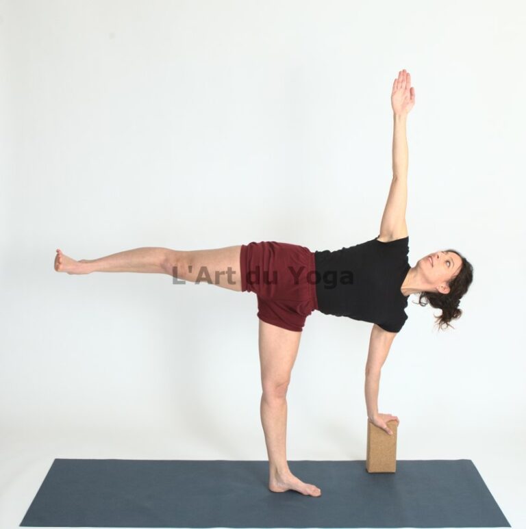 LArt du Yoga JH Equilibre 768x773