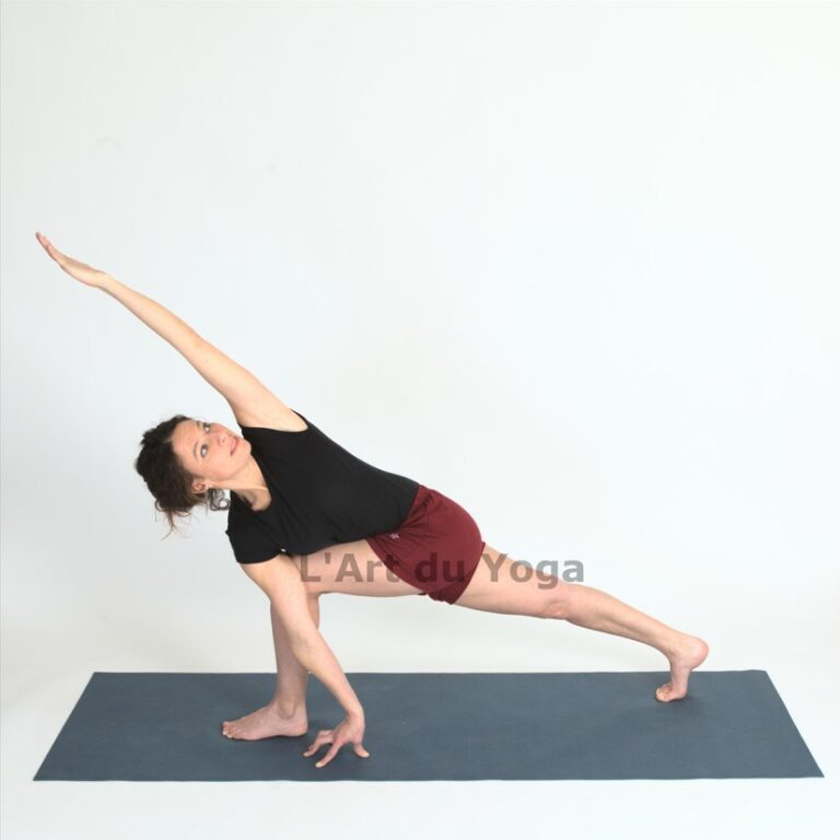 LArt du Yoga JH Torsion 768x768