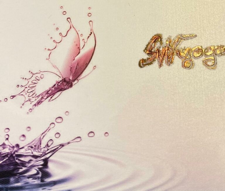 Logo SN Yoga 2024 768x652