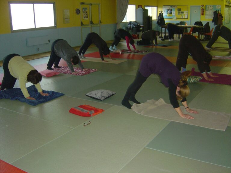 Salle de yoga Orsennes chien tete en bas BIS  768x576