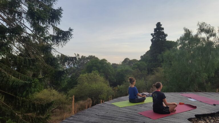 Cours yoga rayol 768x432