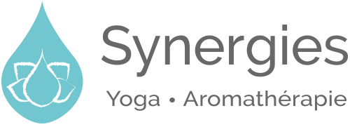 ok LOGO retina SYNERGIES 2023