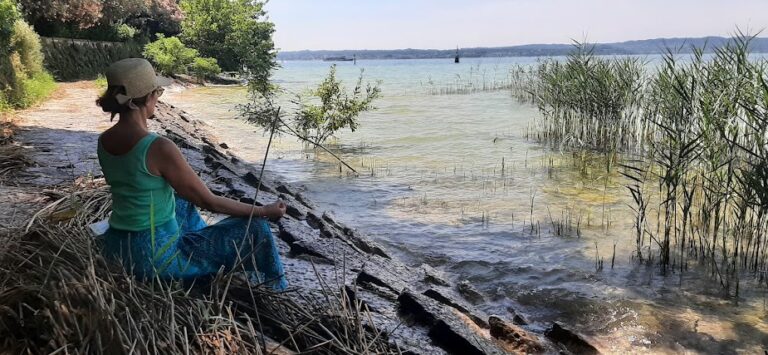 20240714 140234 1 768x355