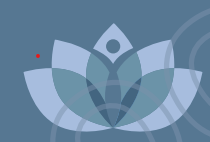 Capture decran 2024 12 14 185737