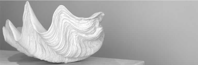 Coquillage 768x252