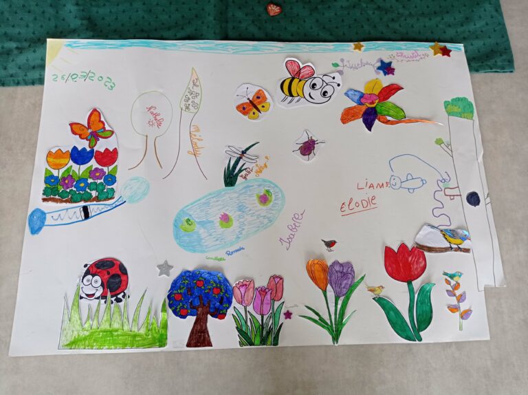 IMG 20230326 114926 768x574