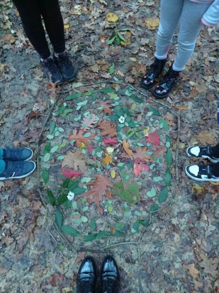 IMG 20231115 173248 768x1027