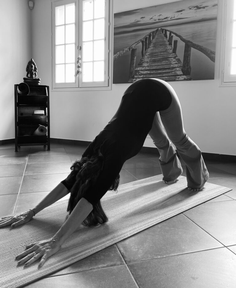 chien tete en bas 768x934