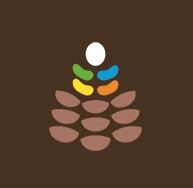 logo institut2 copie