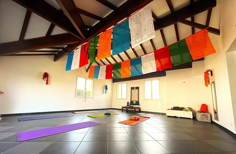 salle de yoga avec drapeaux 768x501