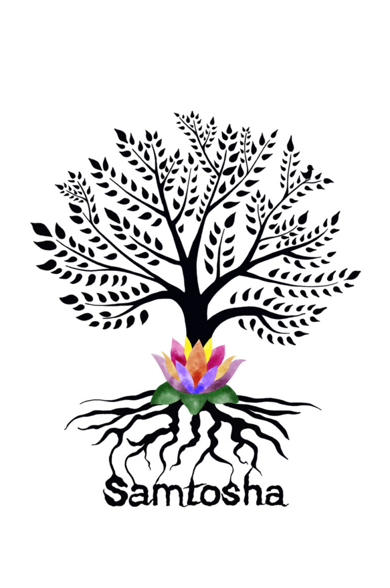 verso copie 768x1158