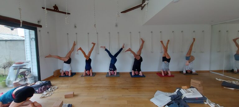 20230225 114546 768x346