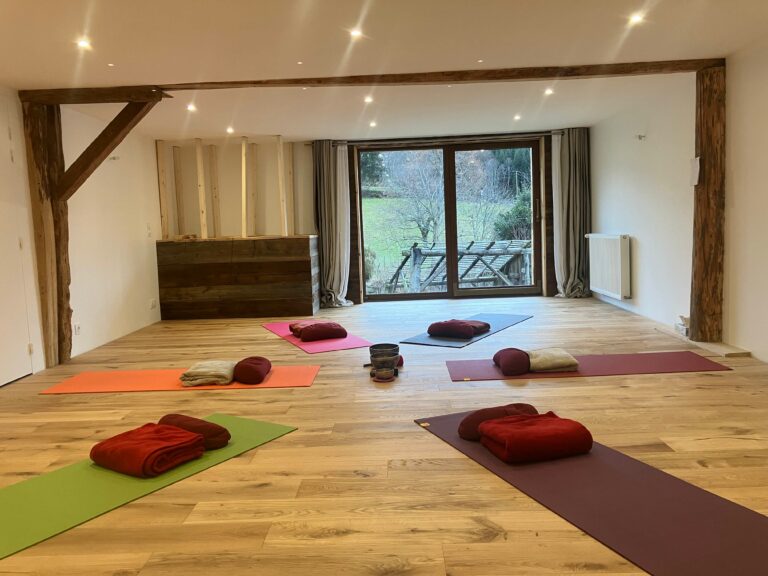 Salle Yoga SRB R 768x576