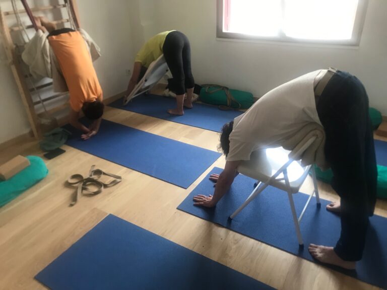 YogaIyengar Dos 768x576