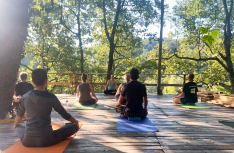 YFI Group Platform 768x501