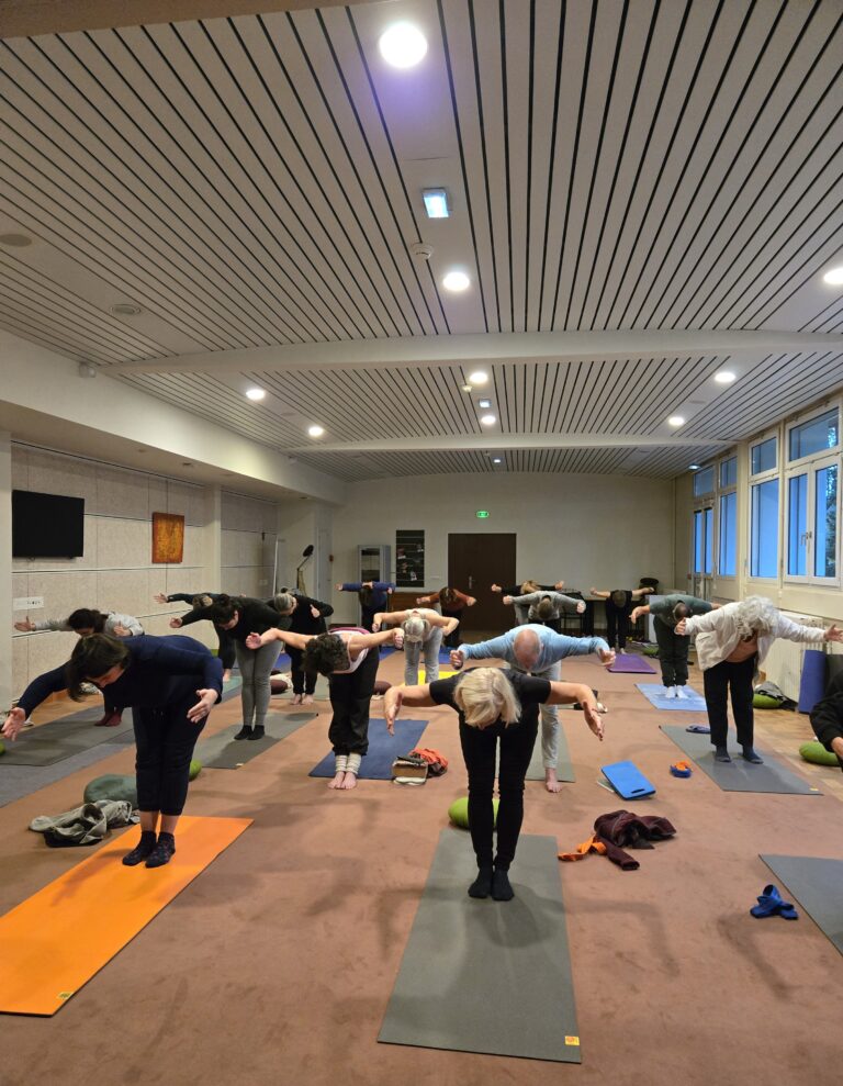 20241109 171336 768x989