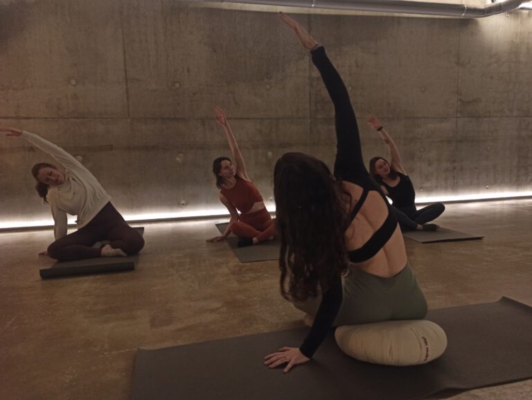 IMG 20241221 171906 768x577