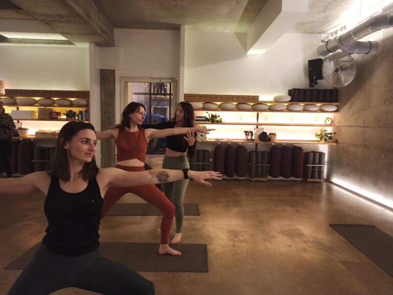 IMG 20241221 172252 768x577