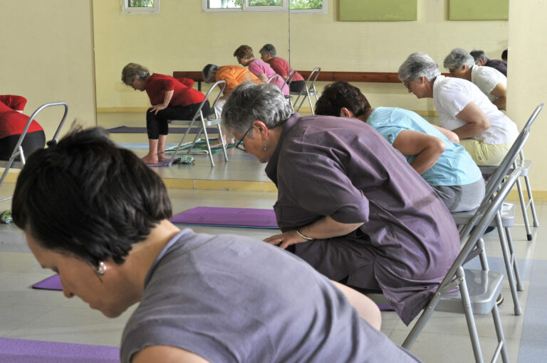 FlexionAV2 DSC7160 768x511