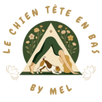 Avatar de l’utilisateur/utilisatrice