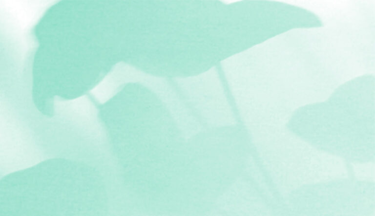 BANNIERE registreofficielnational 768x442