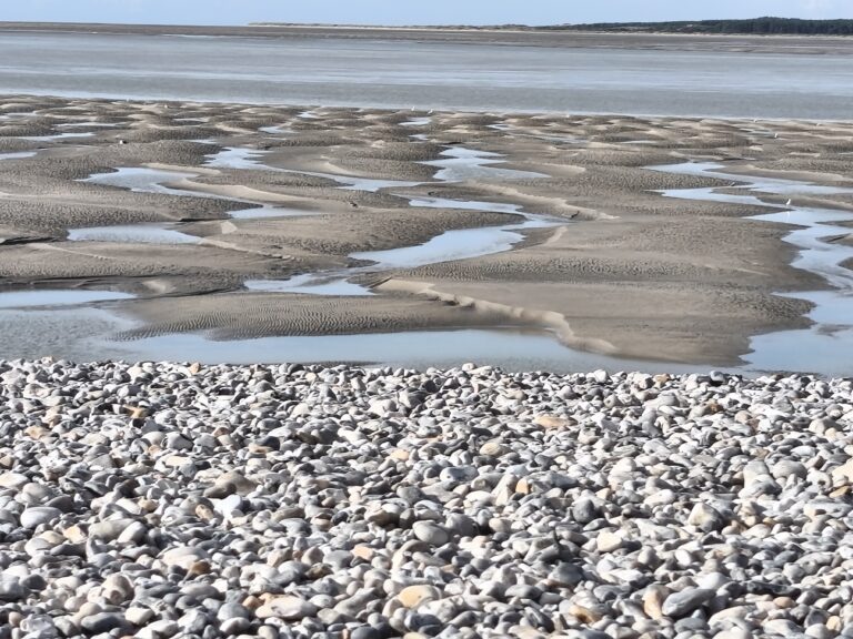 IMG 20250909 174554 768x576