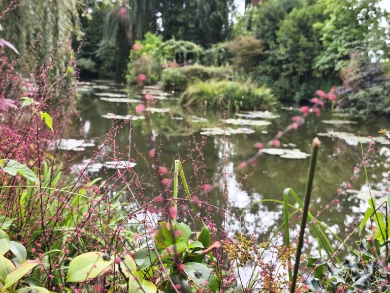 IMG 20250913 141935 768x576