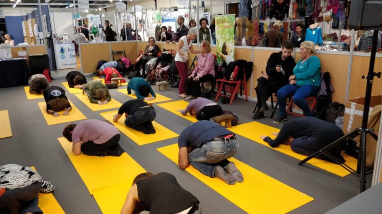 IMG 20181112 WA0027 768x432