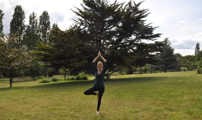 arriere plan fbk 768x457